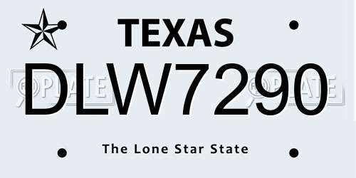 DLW7290 Texas License Plate
