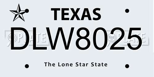 DLW8025 Texas License Plate