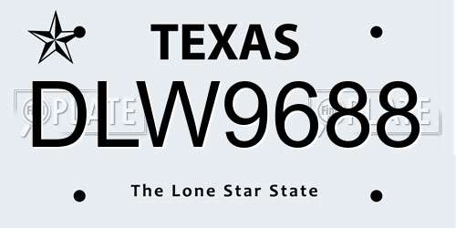 DLW9688 Texas License Plate