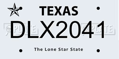 DLX2041 Texas License Plate