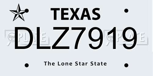 DLZ7919 Texas License Plate