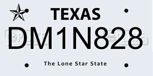 DM1N828 Texas License Plate