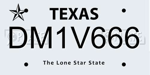 DM1V666 Texas License Plate
