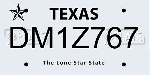DM1Z767 Texas License Plate
