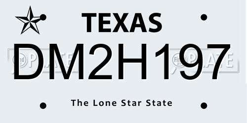 DM2H197 Texas License Plate