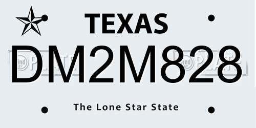 DM2M828 Texas License Plate