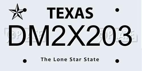 DM2X203 Texas License Plate