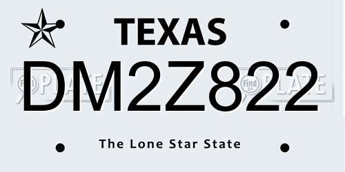 DM2Z822 Texas License Plate