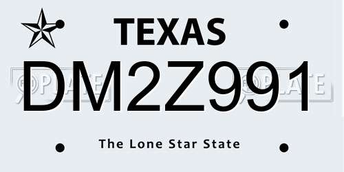 DM2Z991 Texas License Plate