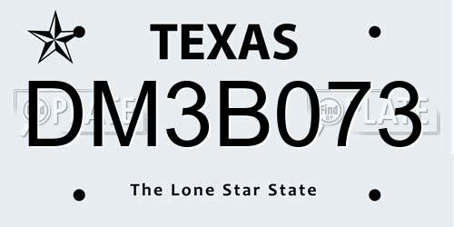 DM3B073 Texas License Plate