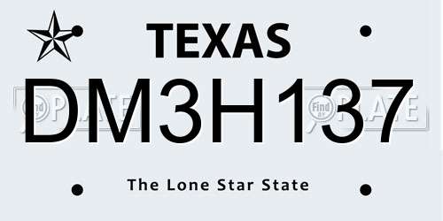 DM3H137 Texas License Plate