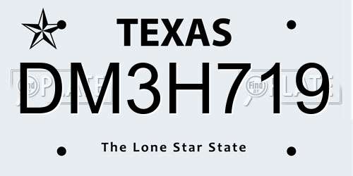 DM3H719 Texas License Plate