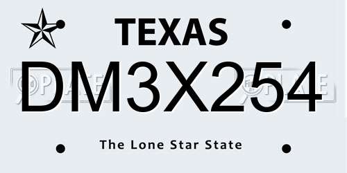 DM3X254 Texas License Plate