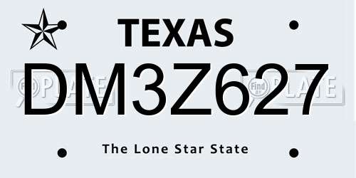 DM3Z627 Texas License Plate
