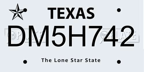 DM5H742 Texas License Plate