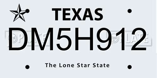 DM5H912 Texas License Plate