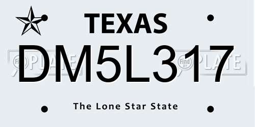 DM5L317 Texas License Plate