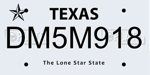 DM5M918 Texas License Plate
