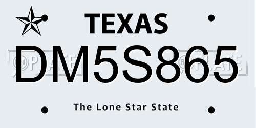 DM5S865 Texas License Plate