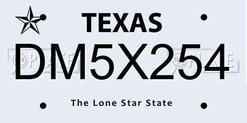 DM5X254 Texas License Plate