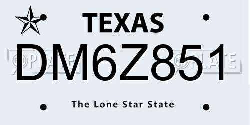 DM6Z851 Texas License Plate