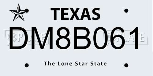 DM8B061 Texas License Plate