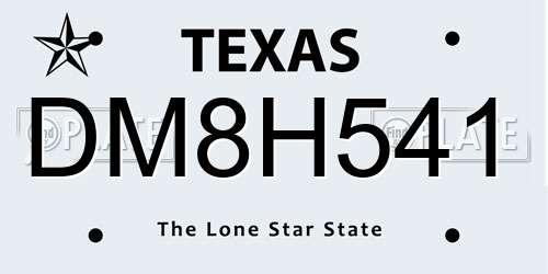 DM8H541 Texas License Plate