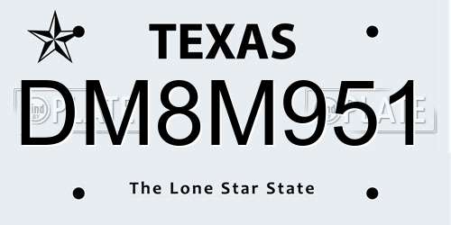DM8M951 Texas License Plate