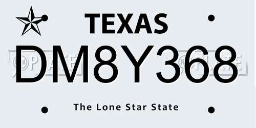 DM8Y368 Texas License Plate