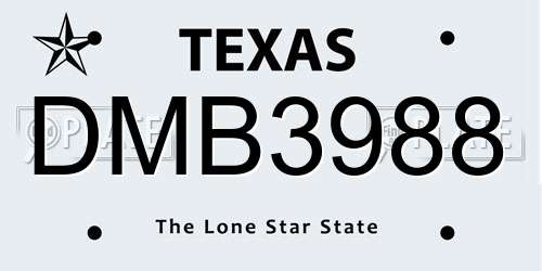 DMB3988 Texas License Plate