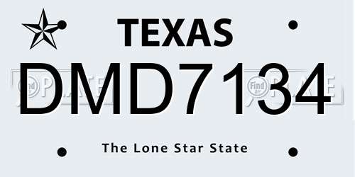 DMD7134 Texas License Plate
