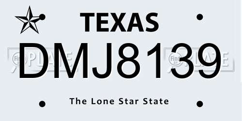 DMJ8139 Texas License Plate