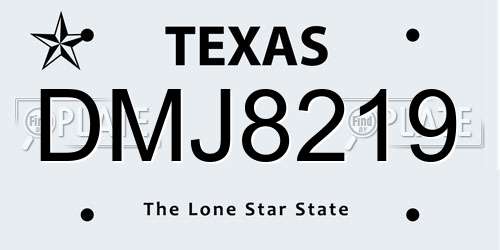 DMJ8219 Texas License Plate