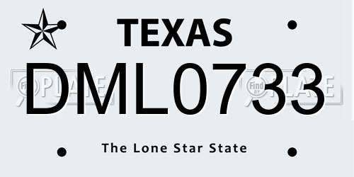 DML0733 Texas License Plate