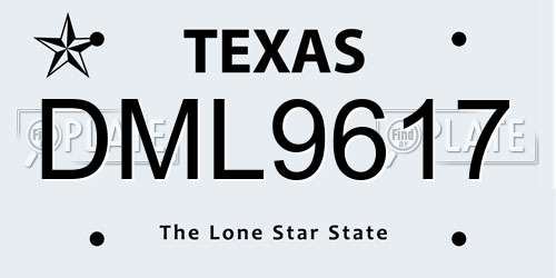 DML9617 Texas License Plate