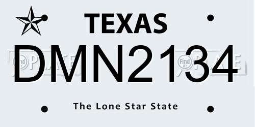 DMN2134 Texas License Plate