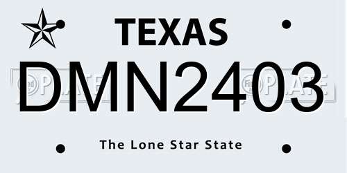 DMN2403 Texas License Plate