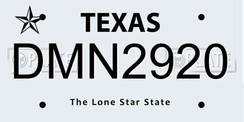 DMN2920 Texas License Plate