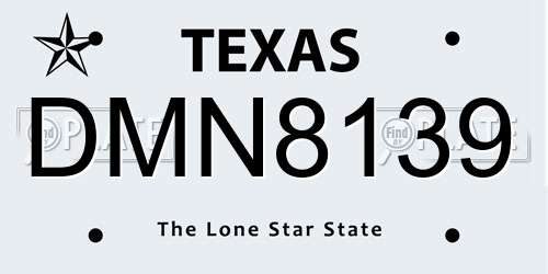 DMN8139 Texas License Plate