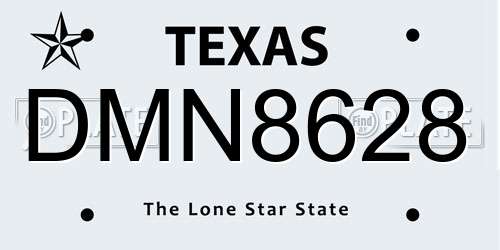 DMN8628 Texas License Plate
