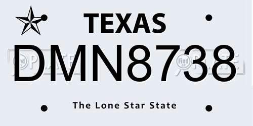 DMN8738 Texas License Plate
