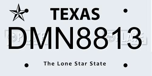 DMN8813 Texas License Plate