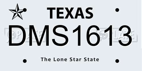 DMS1613 Texas License Plate