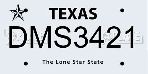 DMS3421 Texas License Plate