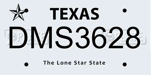 DMS3628 Texas License Plate