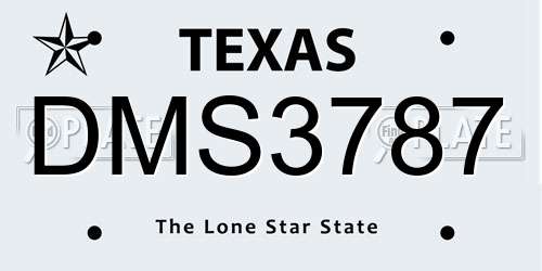 DMS3787 Texas License Plate