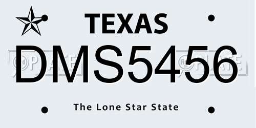 DMS5456 Texas License Plate