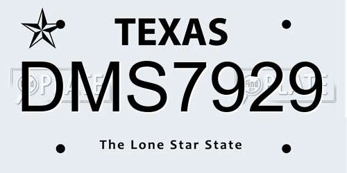 DMS7929 Texas License Plate