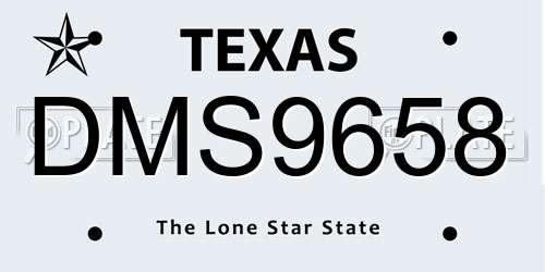 DMS9658 Texas License Plate