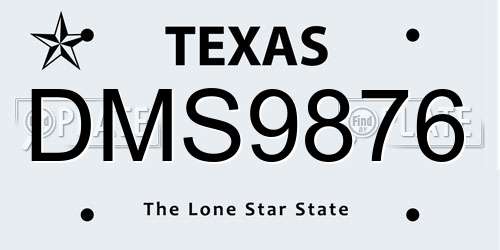 DMS9876 Texas License Plate